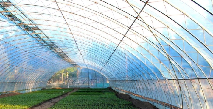Rianlon-agriculture.png
